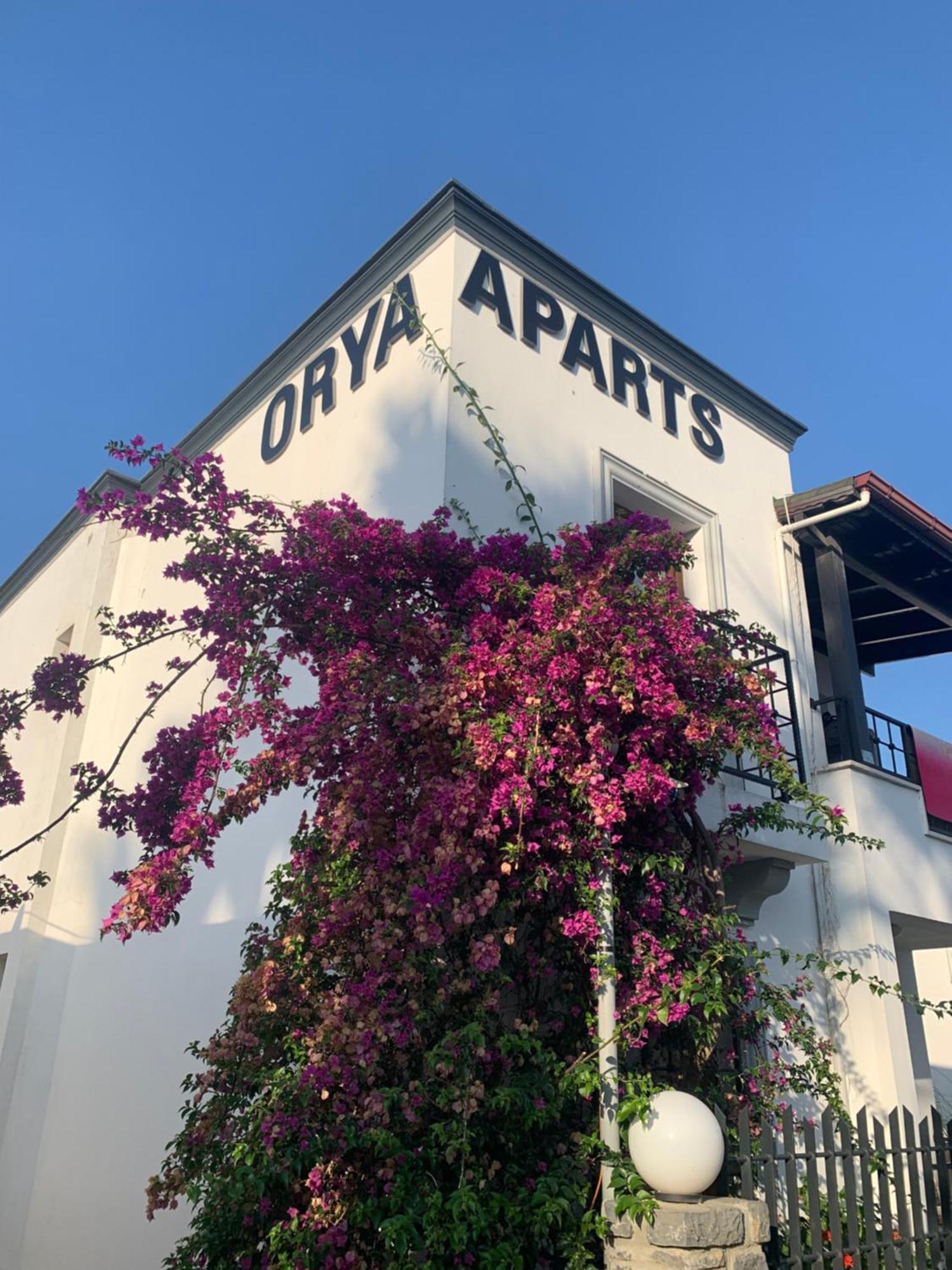 Orya Aparts Gümbet Exteriör bild